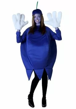 Fun Costumes Adult Blueberry Costume
