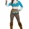 Disguise Breath Of The Wild Adult Zelda Costume
