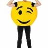 Dress Up America Emoji Wink Smiley Costume For Adults
