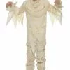 LF Products Pte. Ltd. Adult Mummy Costume