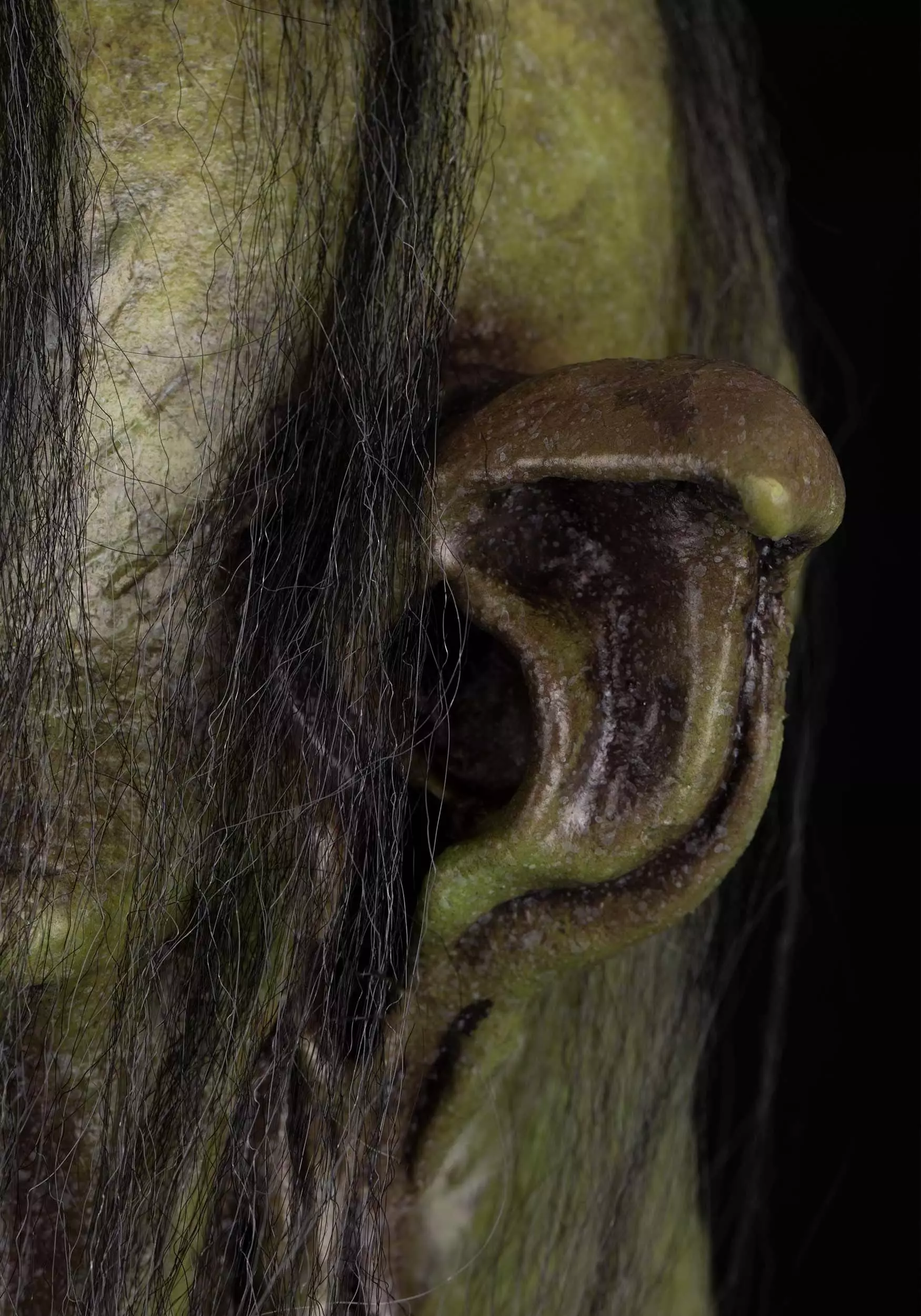 Oktober Studios Adult Wicce Mask 4 Oktober Studios Adult Wicce Mask - Image 4