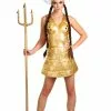 Fun Costumes Big Lebowski Maude Viking Women's Costume