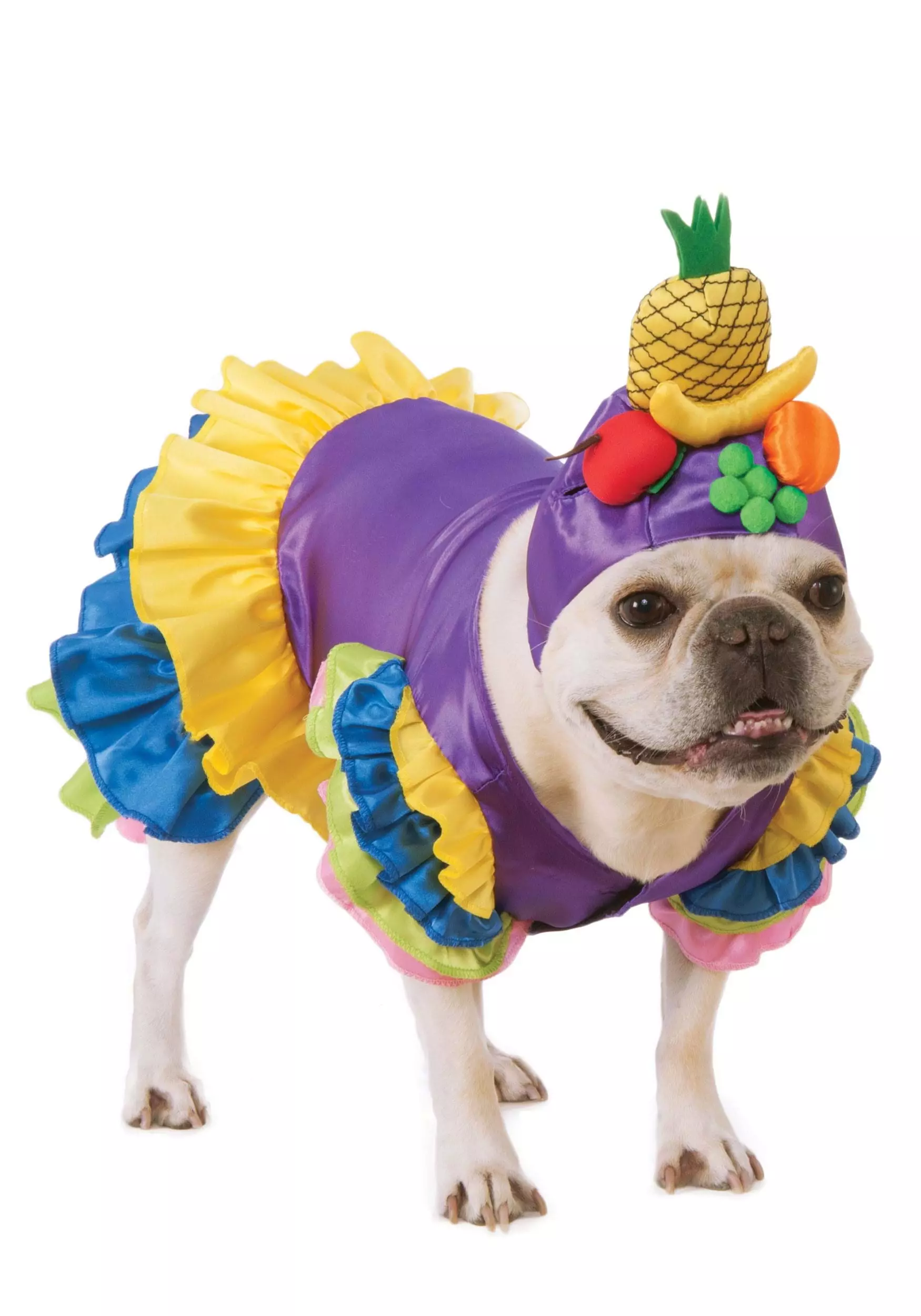 Rubies Costume Co. Inc Brazilian Bombshell Pet Costume 2 Rubies Costume Co. Inc Brazilian Bombshell Pet Costume - Image 2