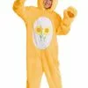 Fun Costumes Care Bears Friend Bear Costume For Kids