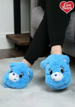 Shenzen Amilla Care Bears Grumpy Bear Adult Slippers