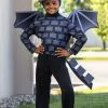 Disguise Minecraft Kid's Classic Ender Dragon Costume