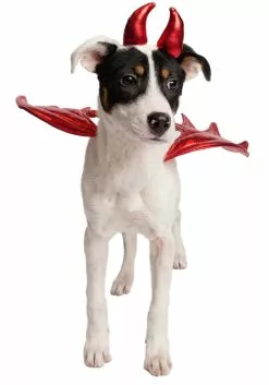 Pet Krewe Devil Costume For Pets