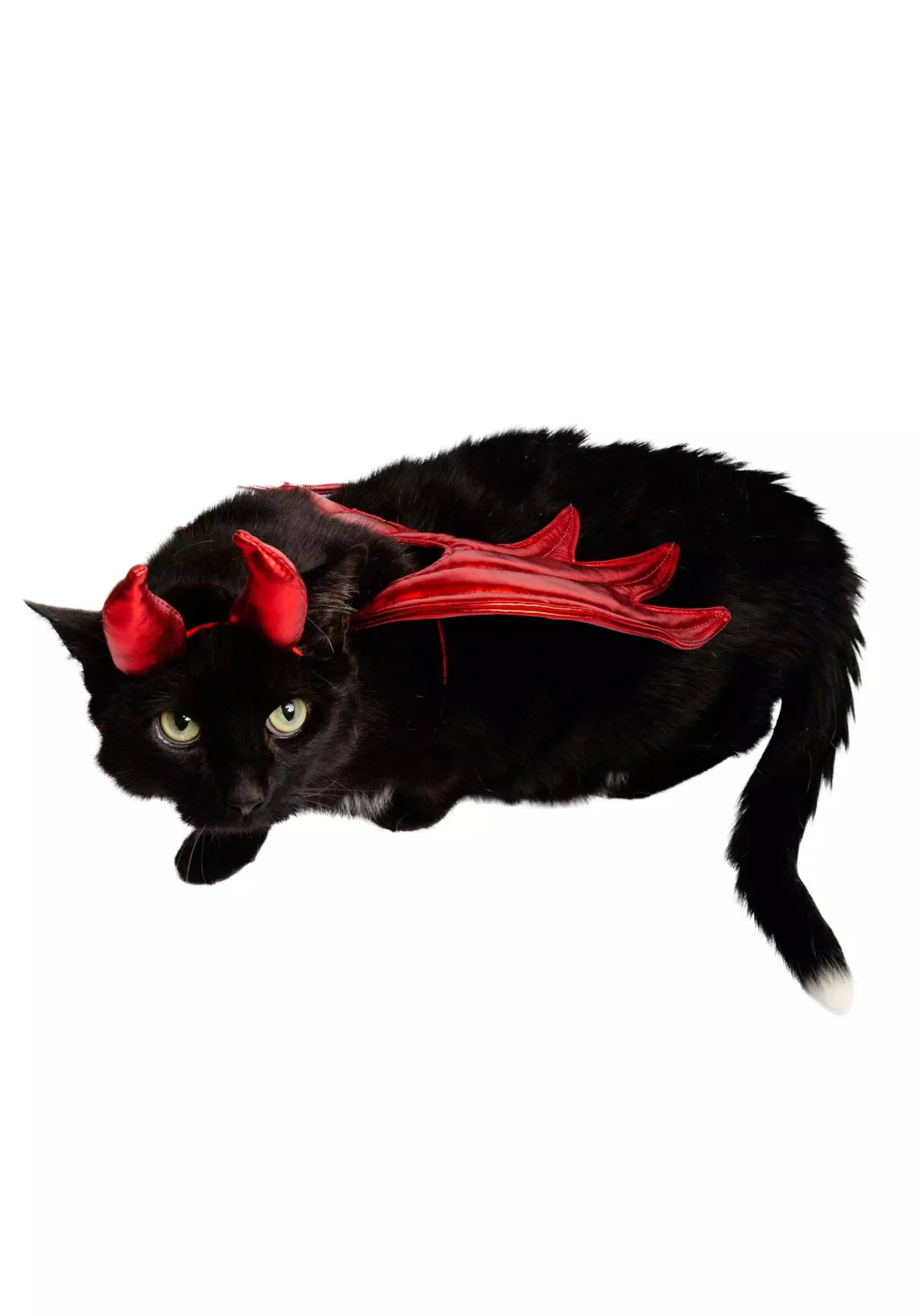 Pet Krewe Devil Costume For Pets 2 Pet Krewe Devil Costume For Pets - Image 2