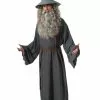 Rubies Costume Co. Inc Adult Gandalf Costume