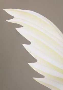 BigWan Apparel Co. Angel And Devil Costume For Kids 10 BigWan Apparel Co. Angel And Devil Costume For Kids -Scary Costumes store kids angel and devil costume alt 4