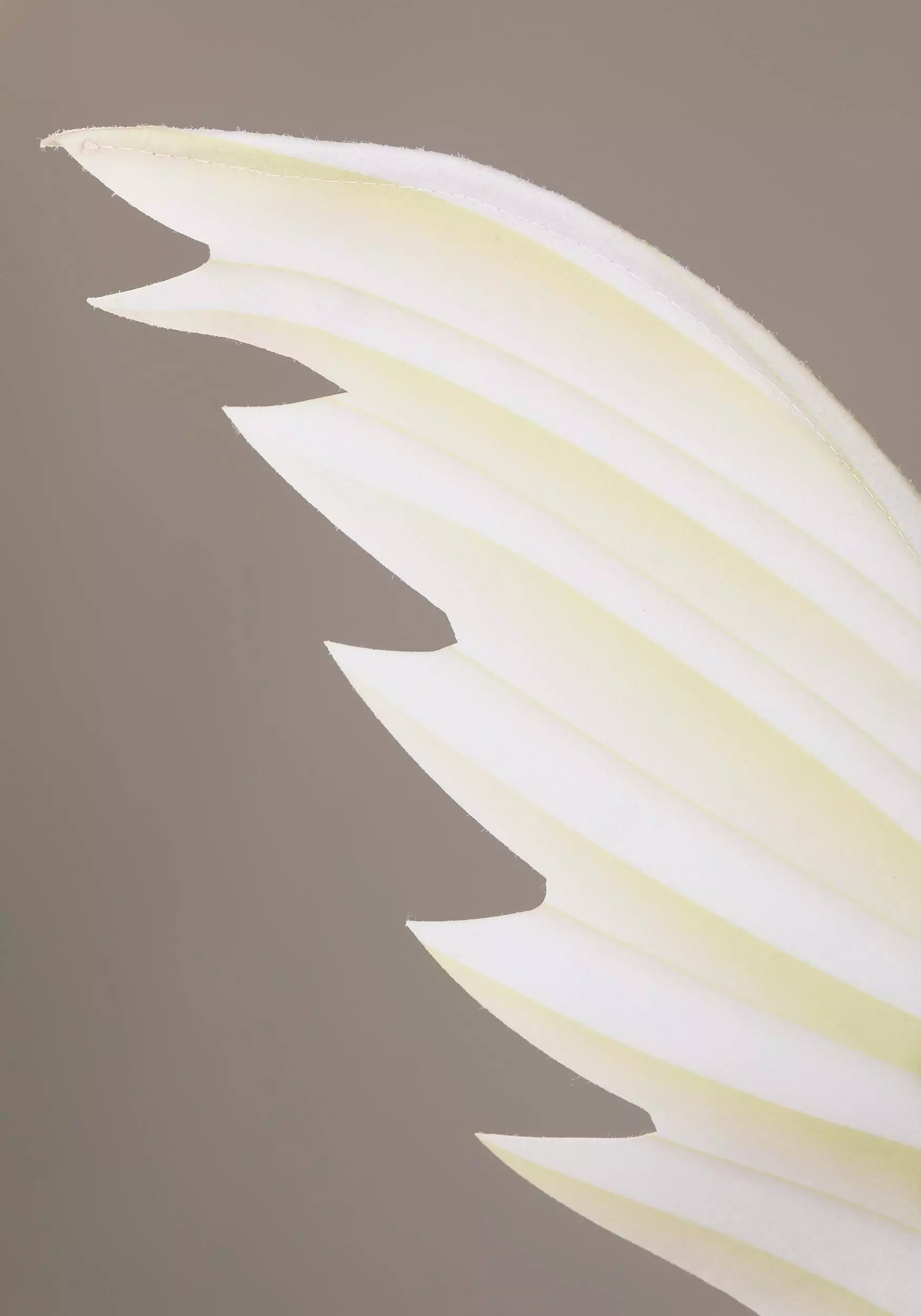 BigWan Apparel Co. Angel And Devil Costume For Kids 5 BigWan Apparel Co. Angel And Devil Costume For Kids - Image 5