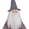 Rubies Costume Co. Inc Gandalf Beard And Wig Set For Kids