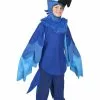 Fun Costumes Rio Blu Costume For Kids