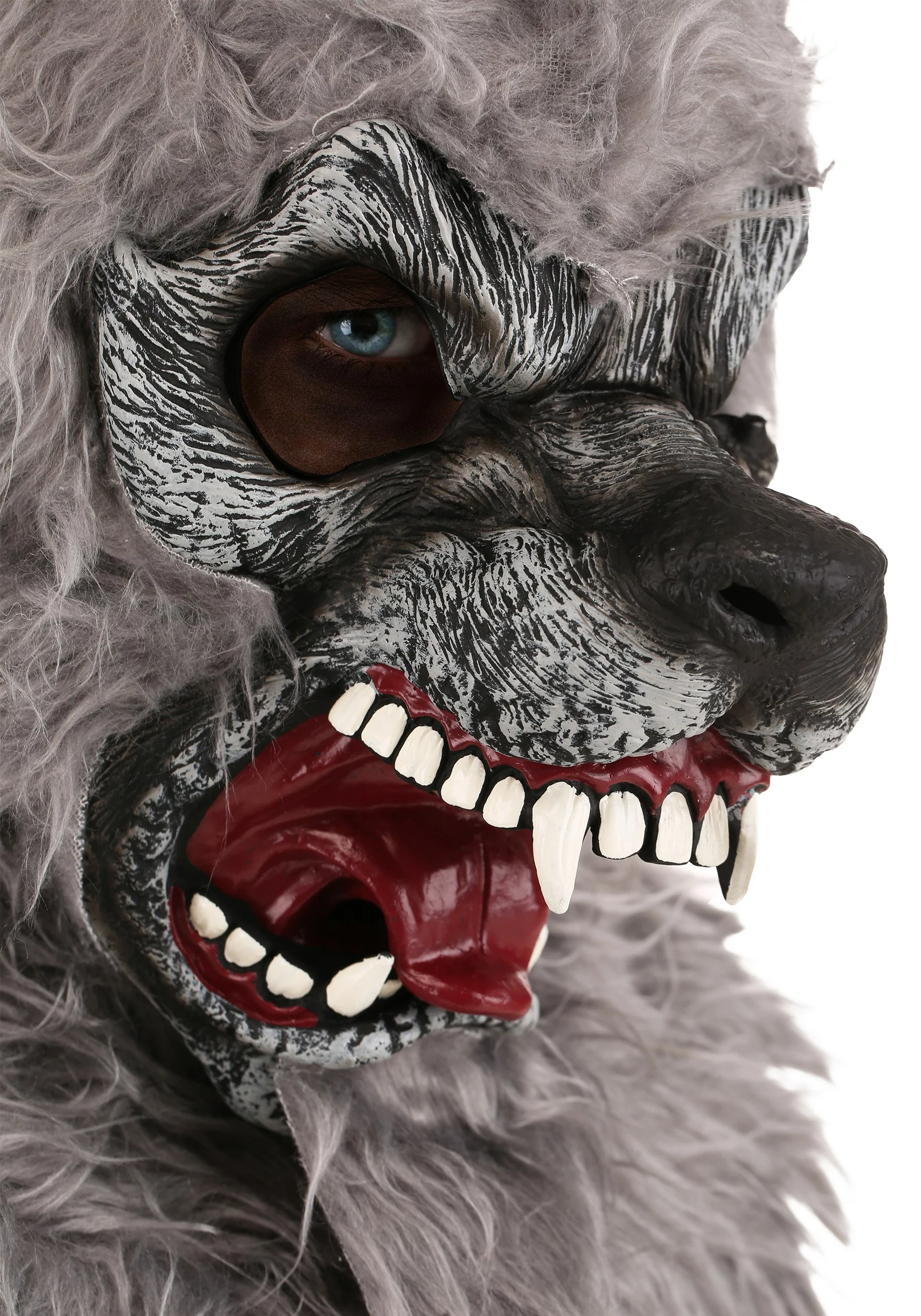 California Costume Collection Werewolf Kids Costume 3 California Costume Collection Werewolf Kids Costume - Image 3