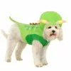 Fun Costumes Magic School Bus Liz Pet Costume