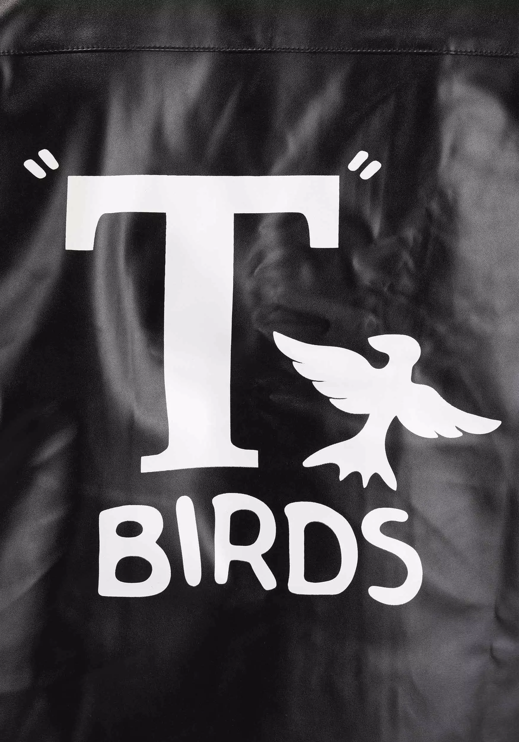 Fun Costumes Grease T-Birds Plus Size Jacket Costume 5 Fun Costumes Grease T-Birds Plus Size Jacket Costume - Image 5