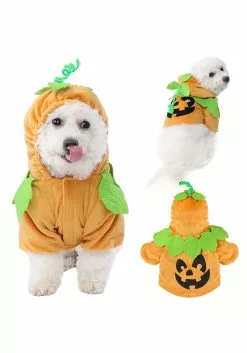 Joyin Pet Pumpkin Costume
