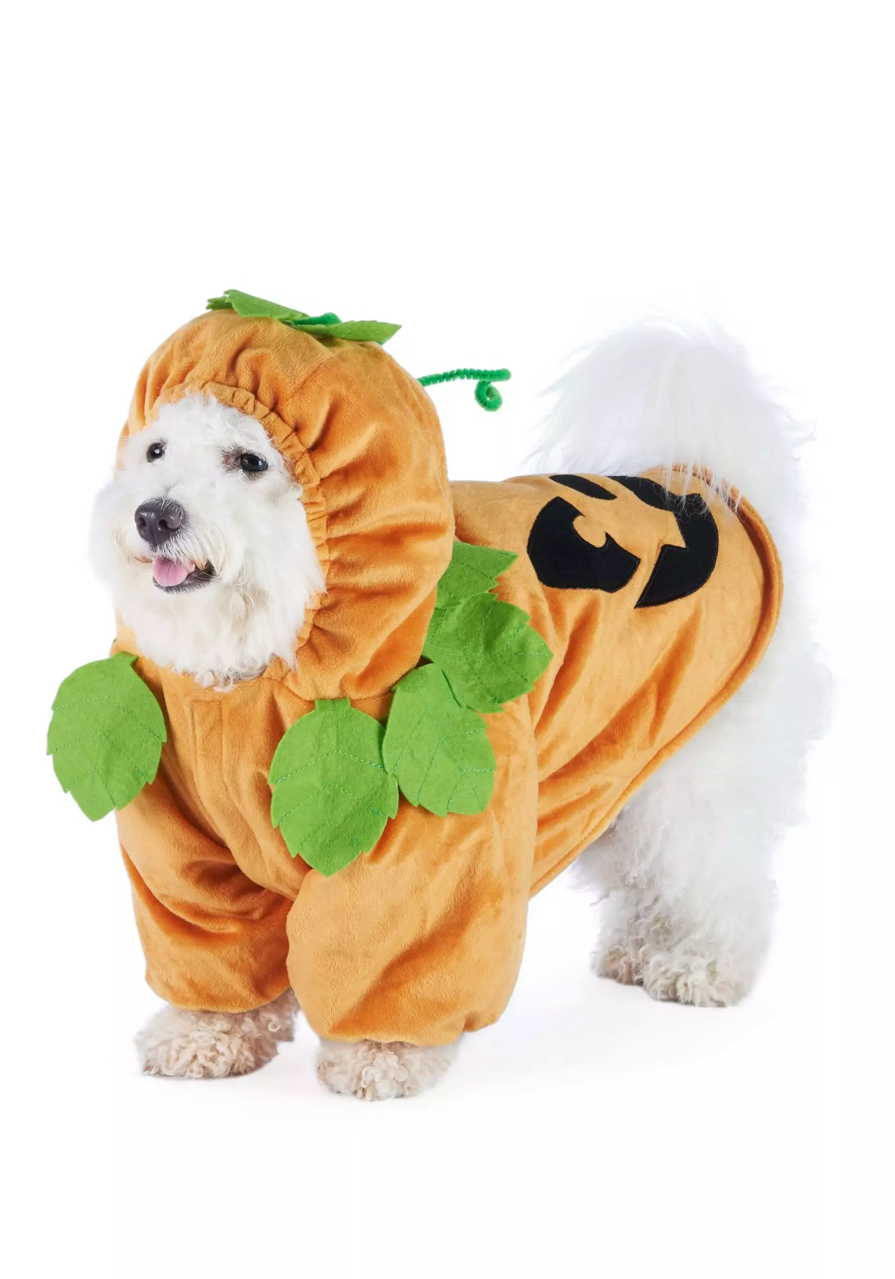 Joyin Pet Pumpkin Costume 4 Joyin Pet Pumpkin Costume - Image 4
