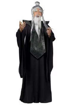 Fun World Sensei Master Costume