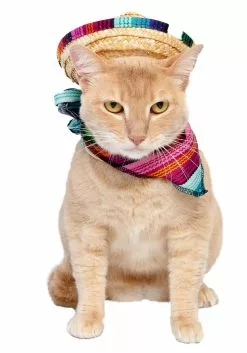 Pet Krewe Bandana And Sombrero Pet Costume Set