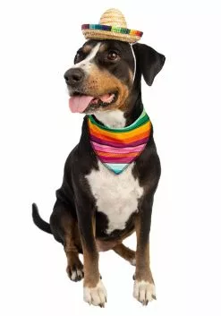 Pet Krewe Bandana And Sombrero Pet Costume Set 8 Pet Krewe Bandana And Sombrero Pet Costume Set -Scary Costumes store sombrero bandana pet costume set alt 2