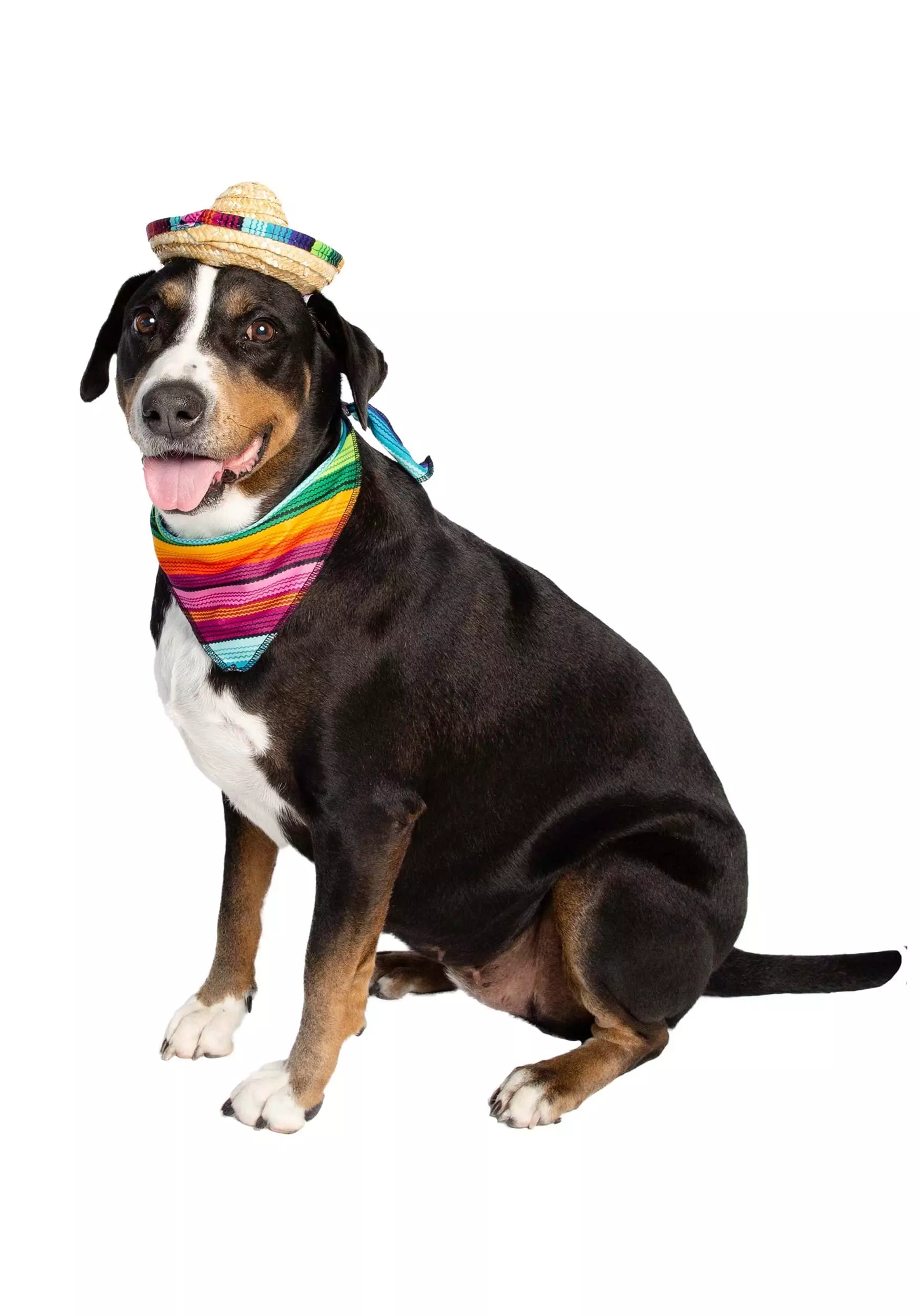 Pet Krewe Bandana And Sombrero Pet Costume Set 6 Pet Krewe Bandana And Sombrero Pet Costume Set - Image 6