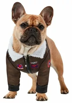 Rubies Costume Co. Inc Dog Costume Of Top Gun