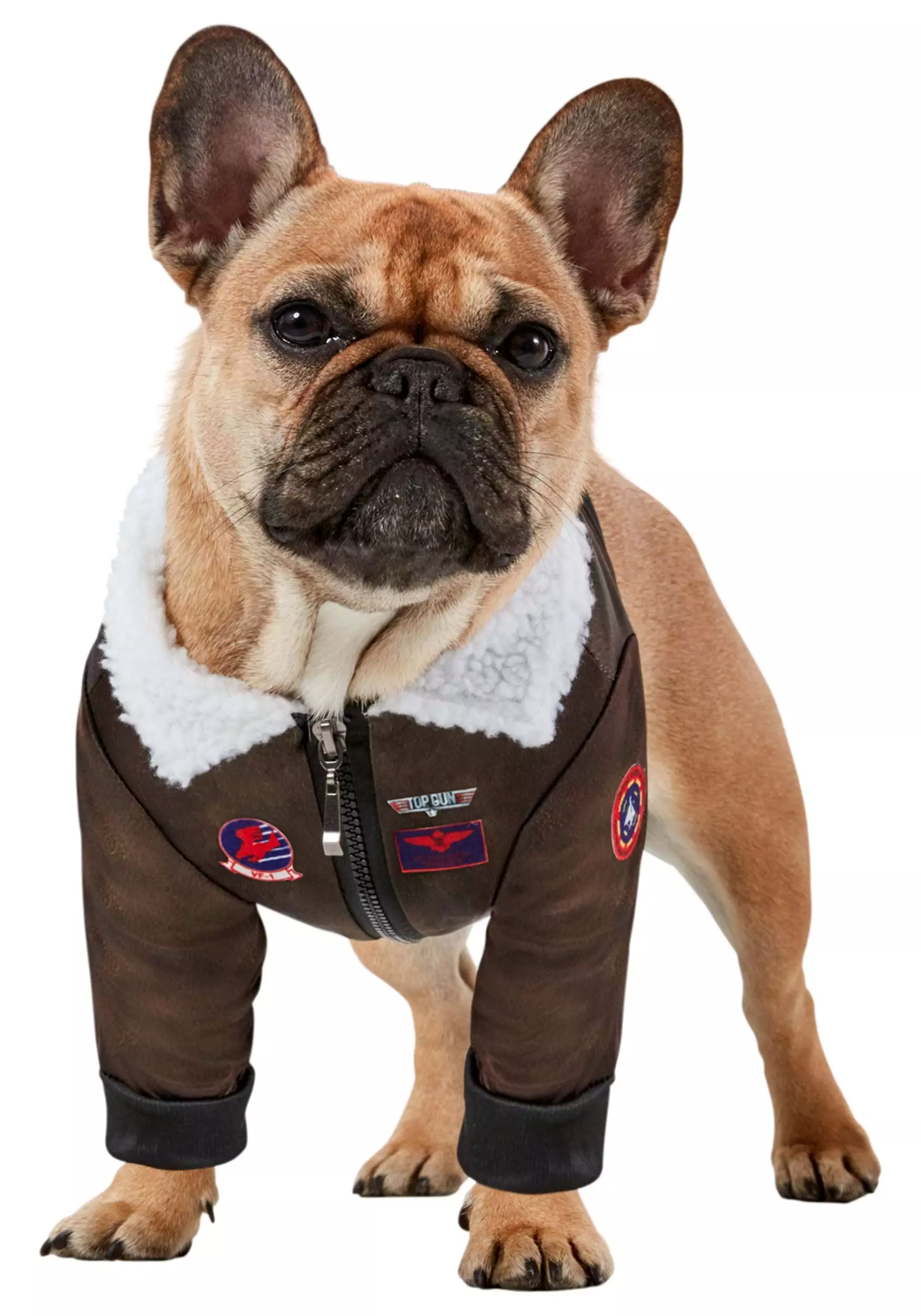 Rubies Costume Co. Inc Dog Costume Of Top Gun 1 Rubies Costume Co. Inc Dog Costume Of Top Gun