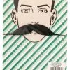 H.M. Smallwares Villain Mustache Costume Accessory